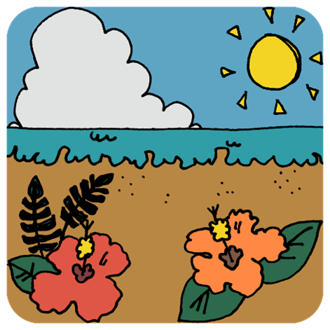 夏の海とハイビスカスのイラスト